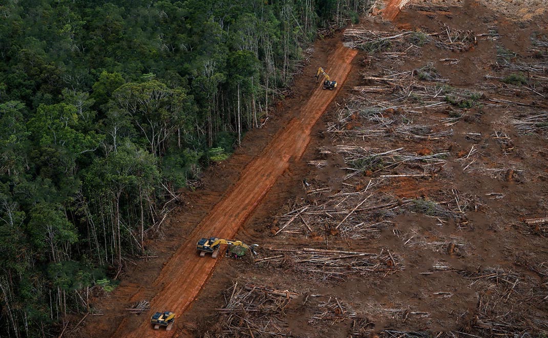Pemulihan Hutan Indonesia Berjalan Terukur & Berbasis Data